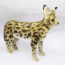 サーバルキャット　毛皮 Amazon.co.jp: HANSA ハンサ ぬいぐるみ 7373 サーバルキャット